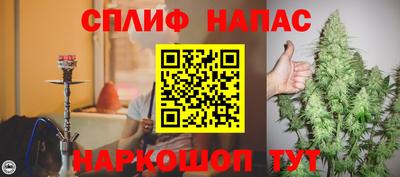 стаф Будённовск