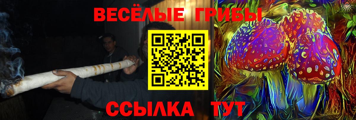 Галлюциногенные грибы Cubensis Старый Оскол